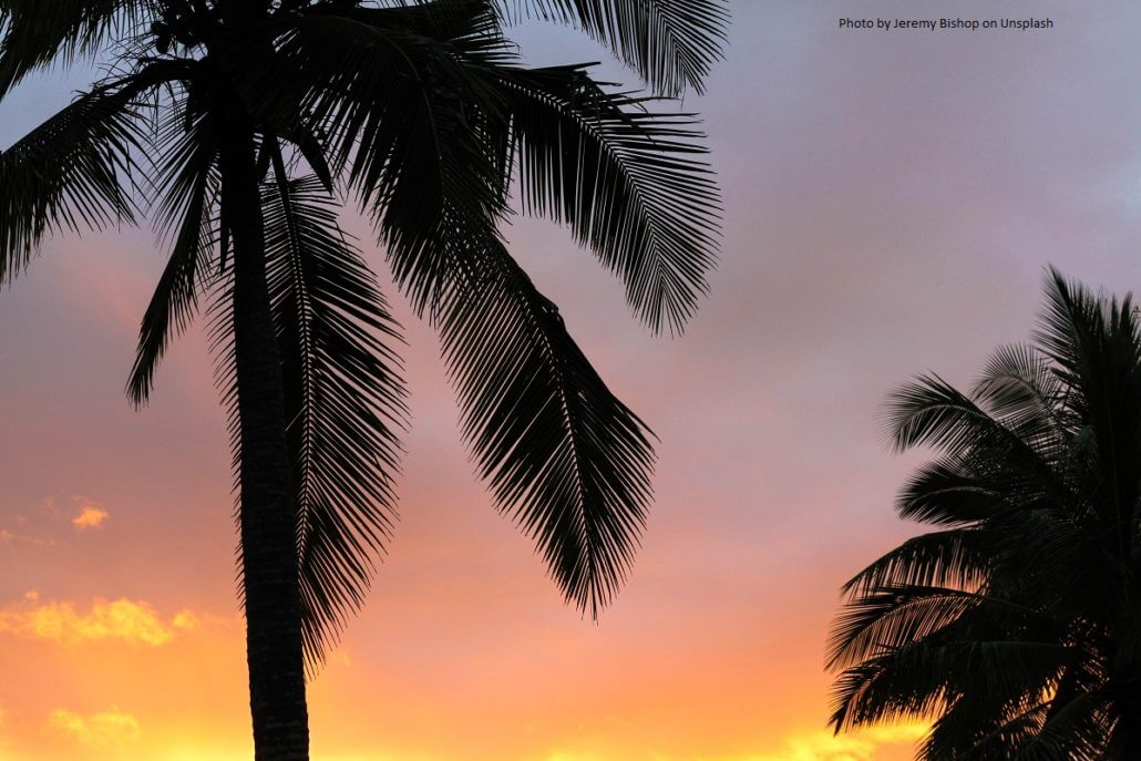 Palmsonntag Der Sonntag Vor Ostern Palmwedel Prozessionen U A